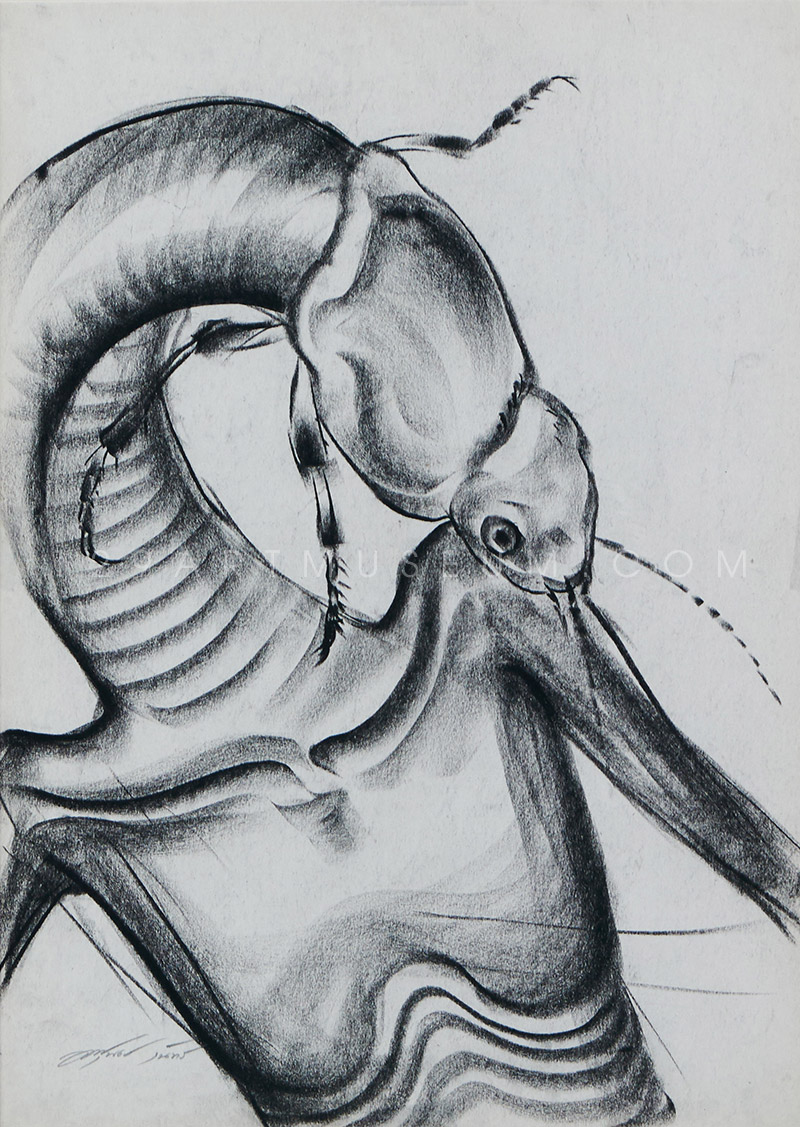 Drawing