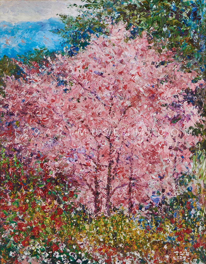 Sakura at Doi Mae Salong, Thailand - 1996